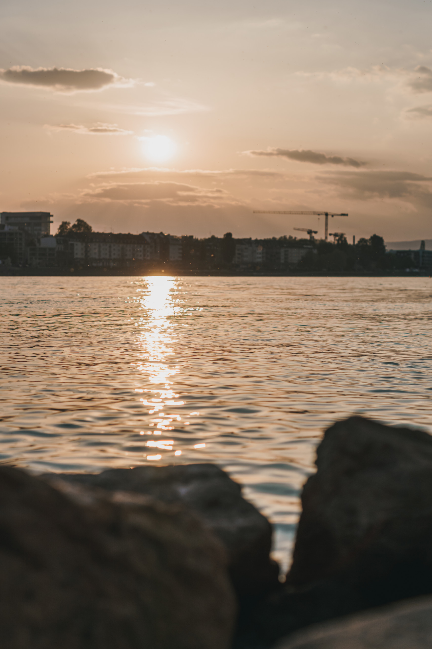 Sonnenuntergang Mainz Natur | Reise | Fotografie
