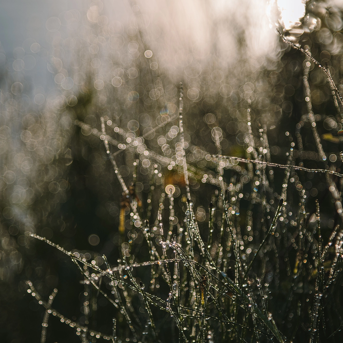 Natur | Reise | Fotografie | Westerwald